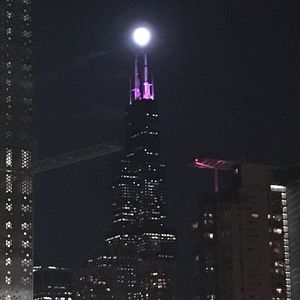 Meet your Posher, Rodolfo